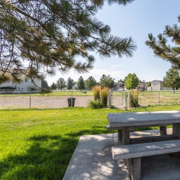 Olympic Village Apartments Apartments in Billings, MT